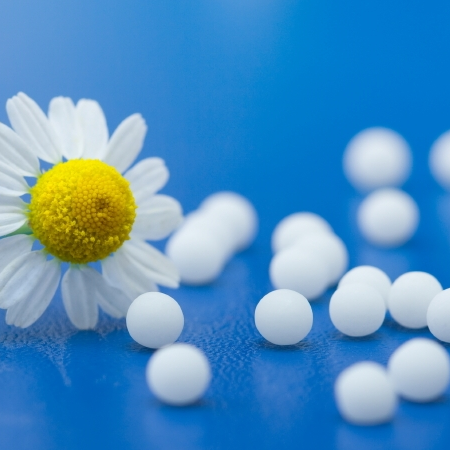 Homeopathy: an Introduction