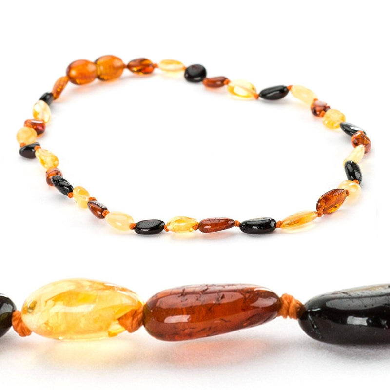 (17in) Certified Baltic Amber Necklace - Multicolored Bean - Anti-inflammatory -  - The Art of Cure