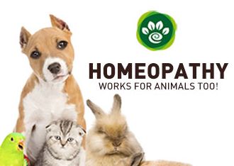 Animals & Homeopathy -  Basics