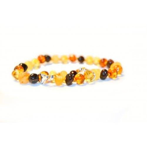 (10in) Certified Baltic Amber Adjustable Bracelet or Anklet - Silver Lobster Clasp - MultiColored -  - The Art of Cure