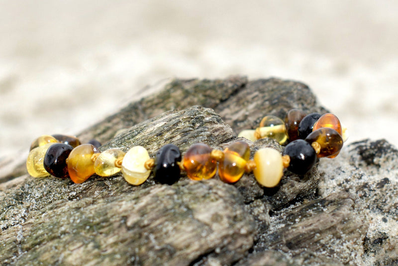 (5.5in) Certified Baltic Amber Bracelet - MultiColor -  - The Art of Cure