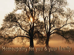 Homeopathy for you & Your family - Homeopathic booklet -  - The Art of Cure